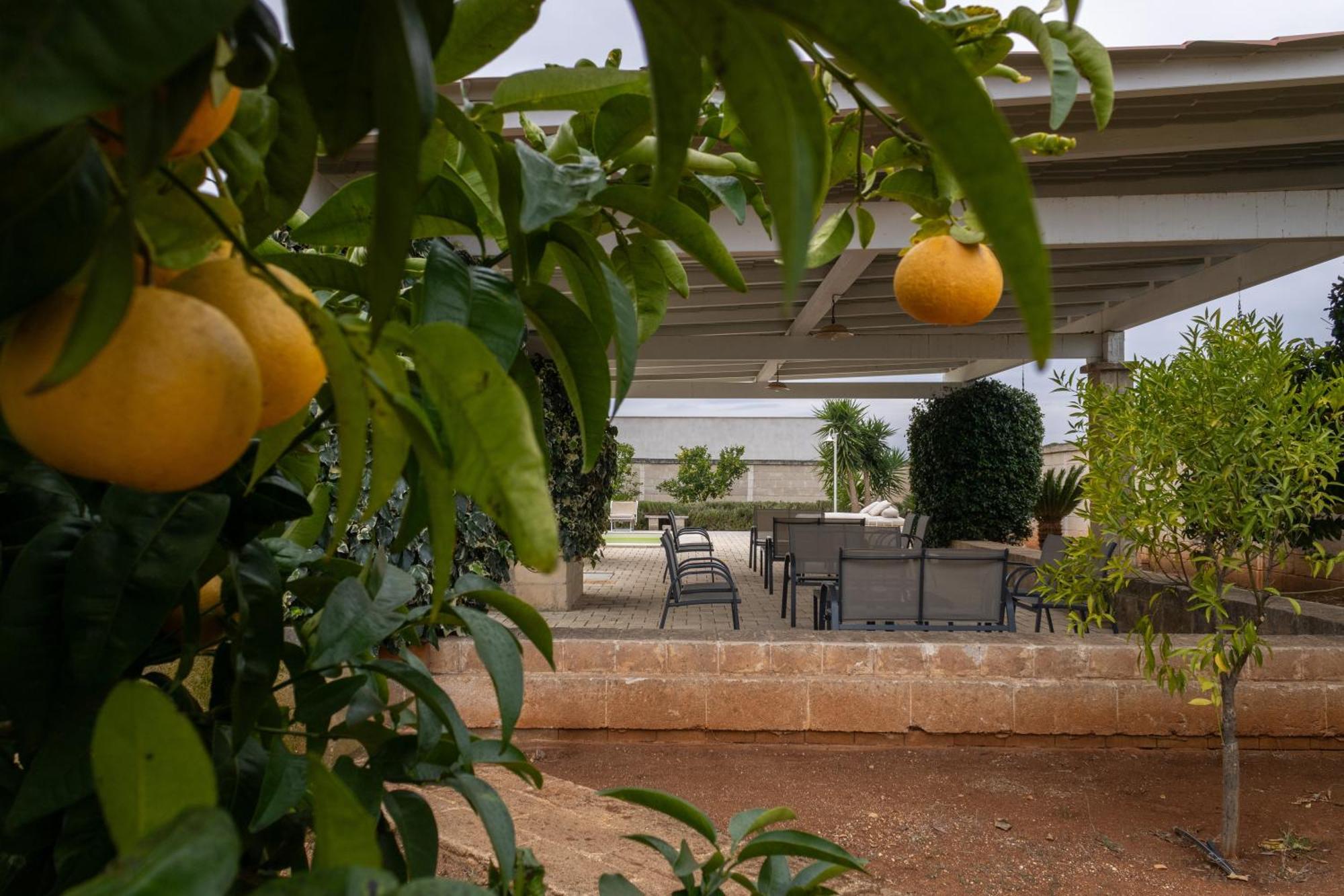 Masseria Don Bonifacio Кастеллана-Гротте Экстерьер фото